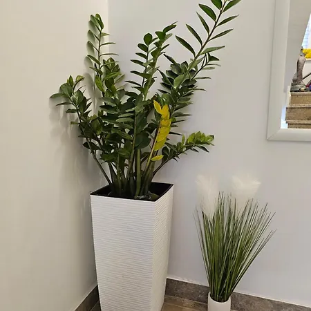 With Parking Space Near The *