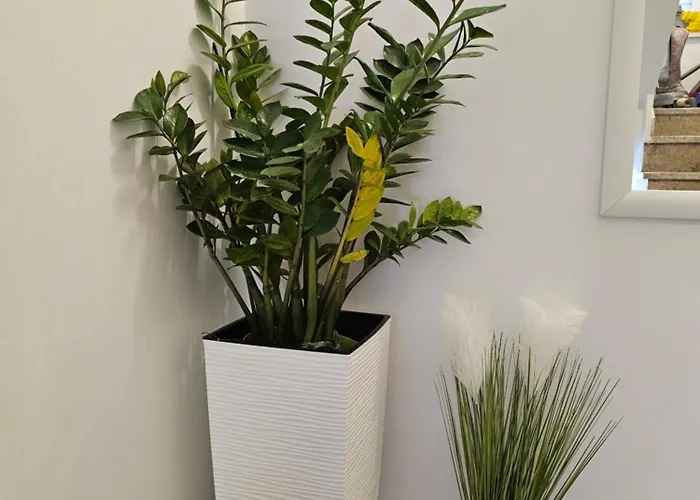 With Parking Space Near The *